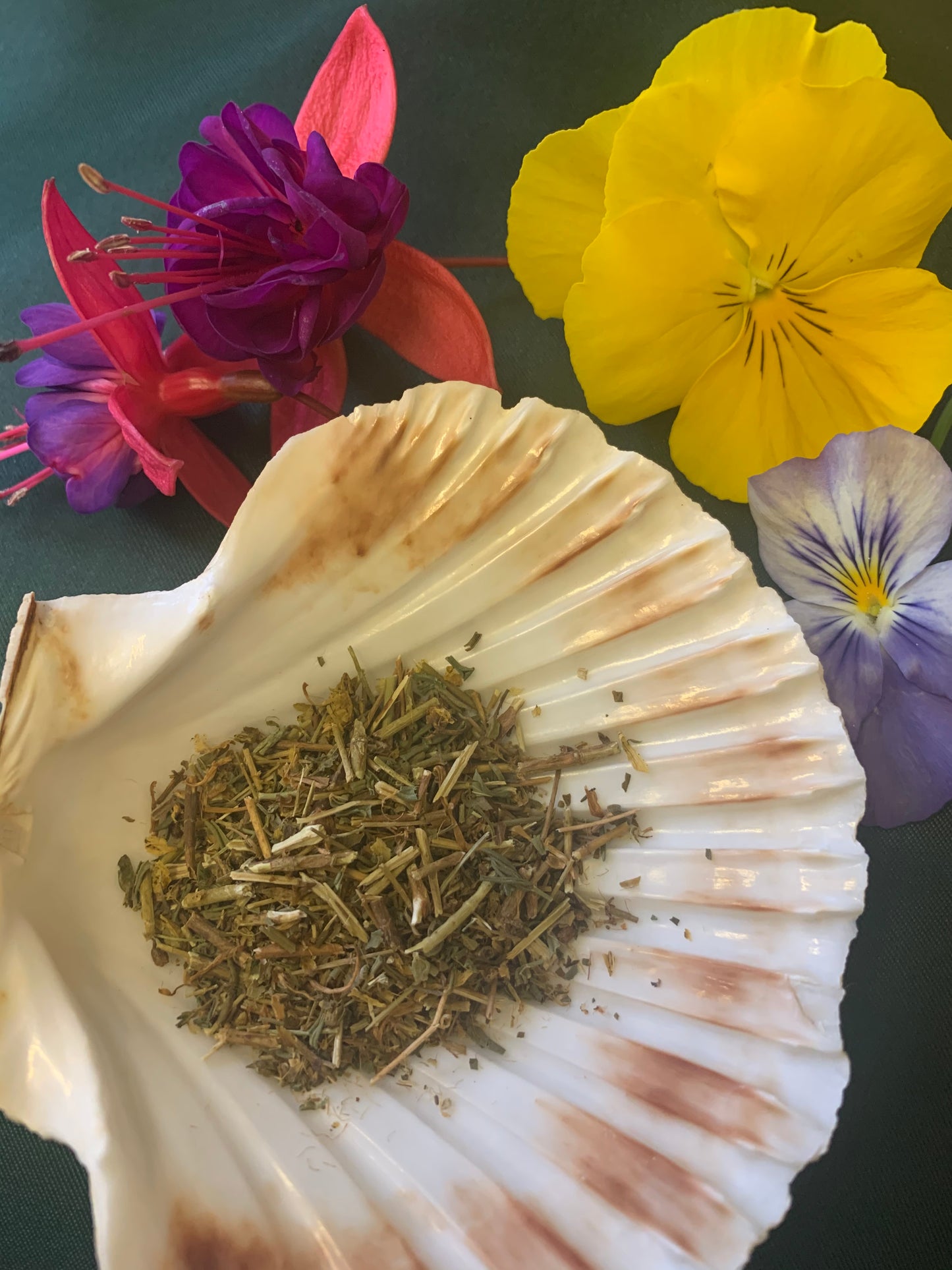St Johns Wort - 10g Herbs for Witchcraft