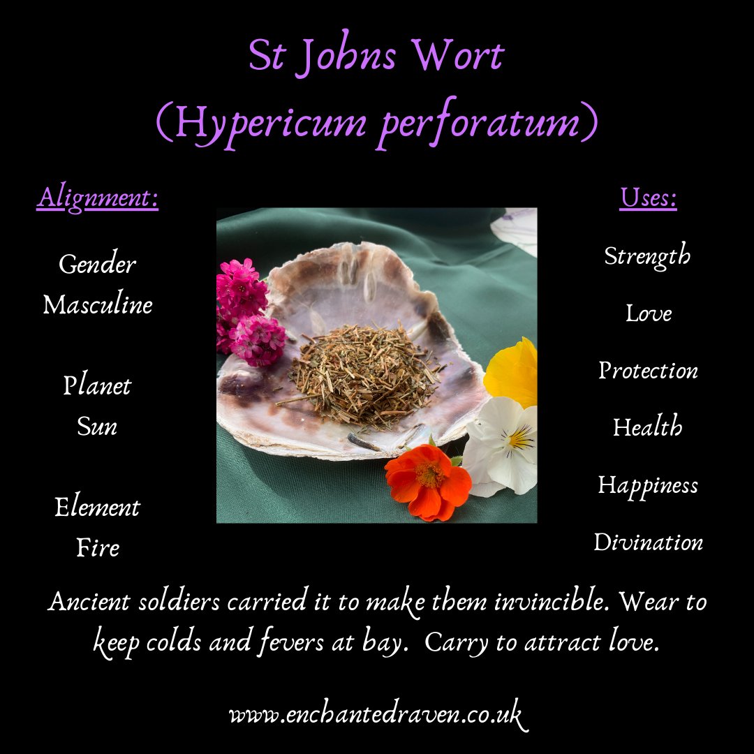 St Johns Wort - 10g Herbs for Witchcraft