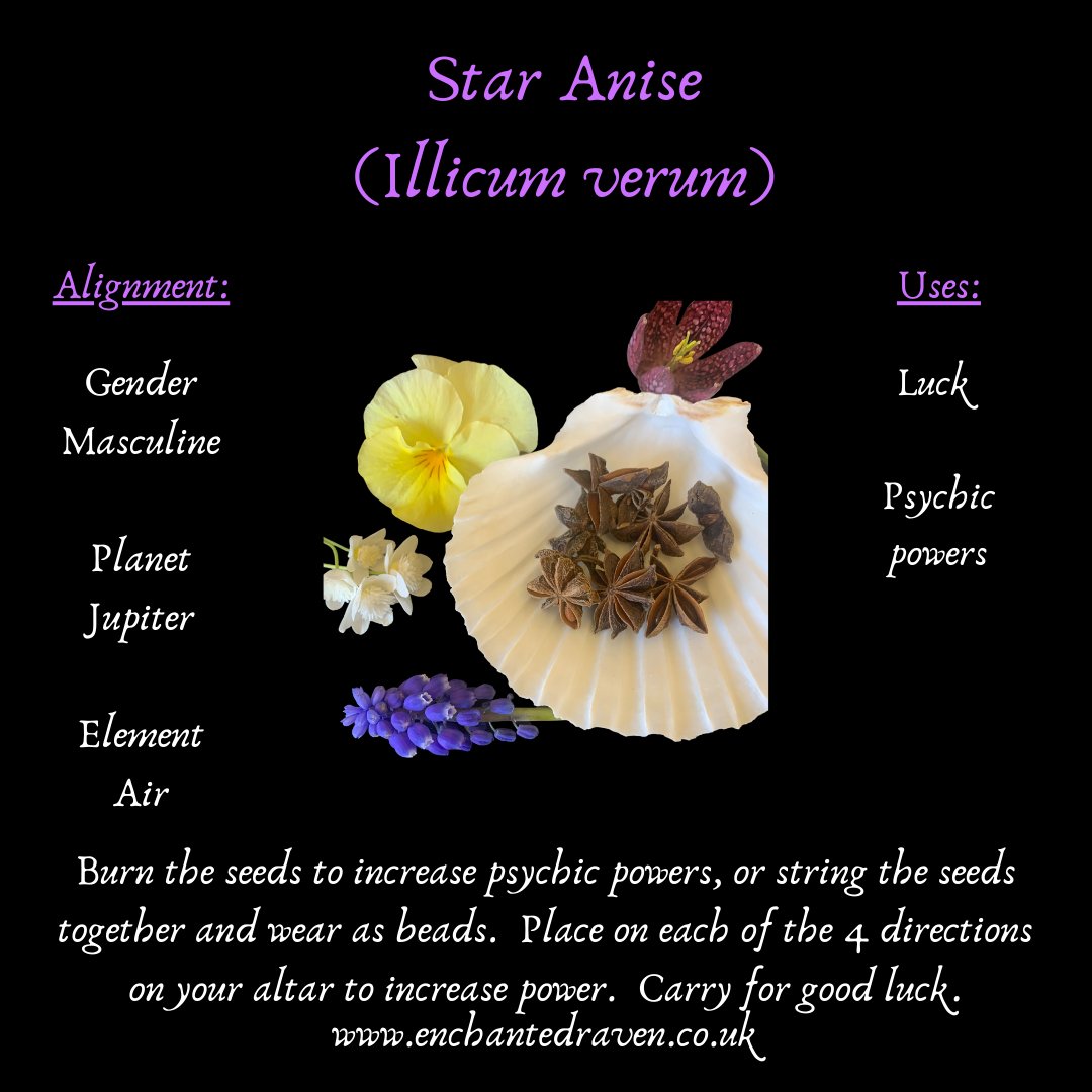 Star Anise