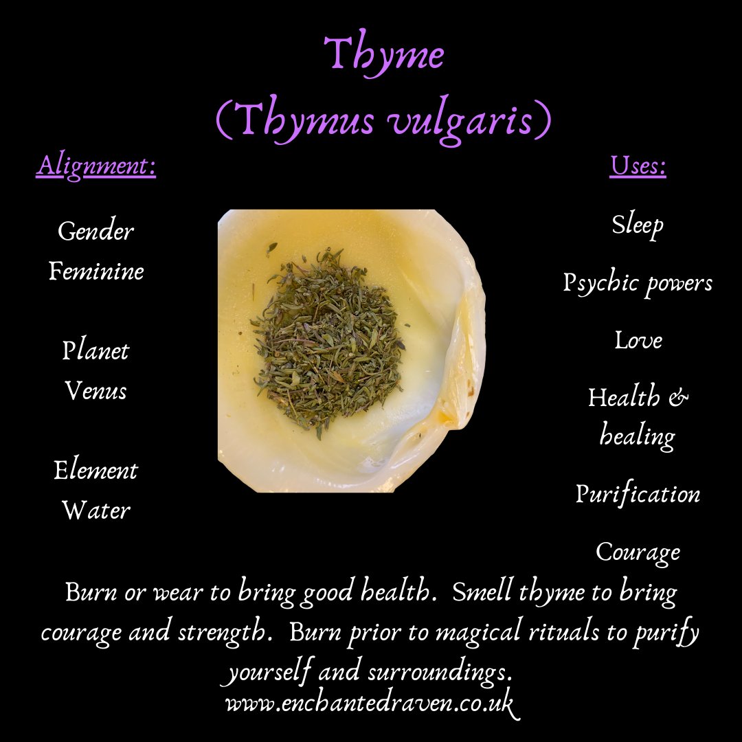 Thyme