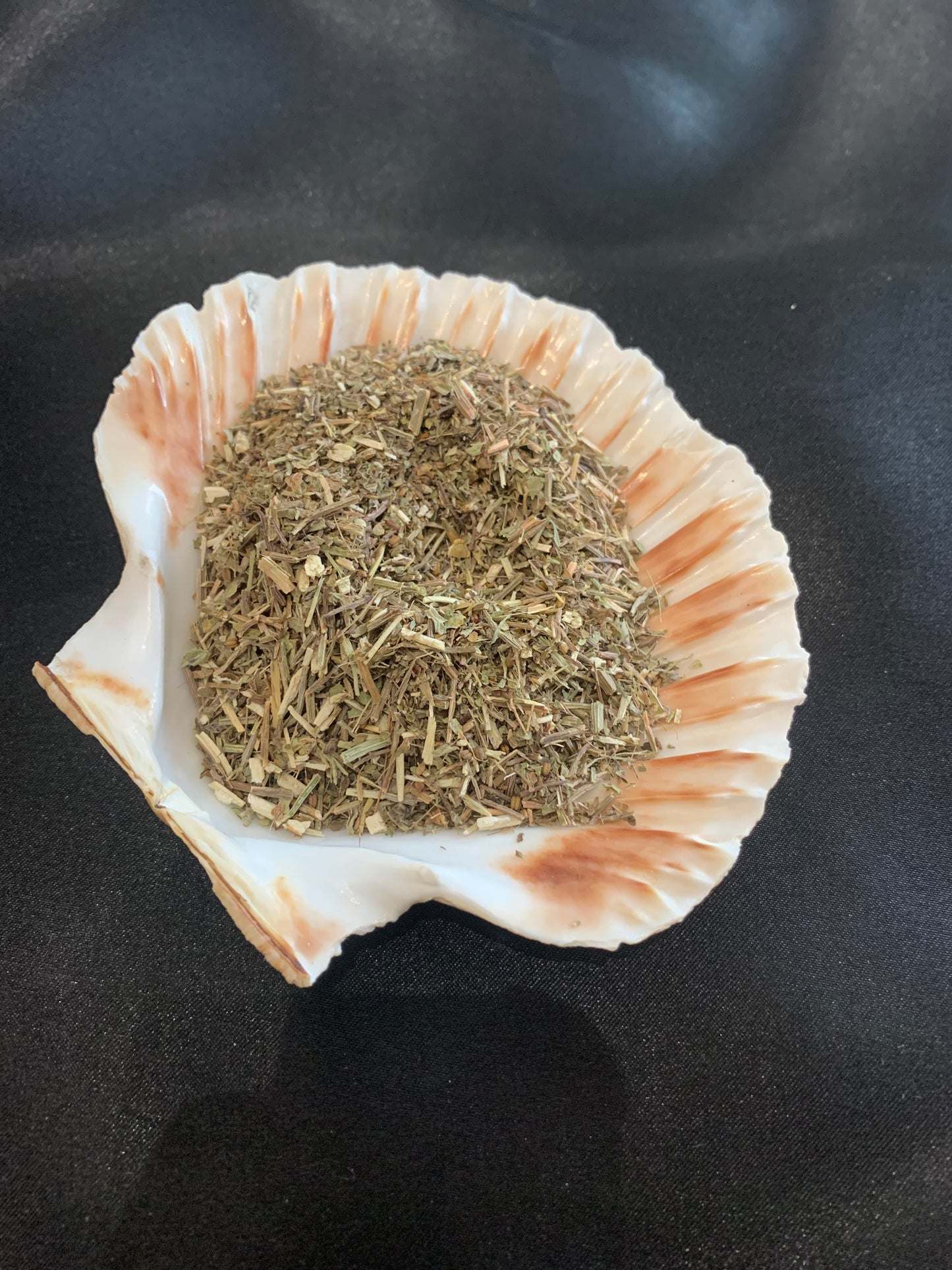 Vervain