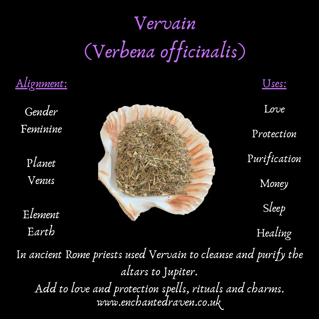 Vervain