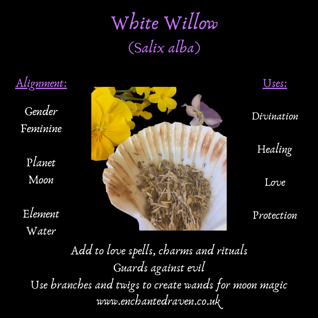 Willow Bark (White)