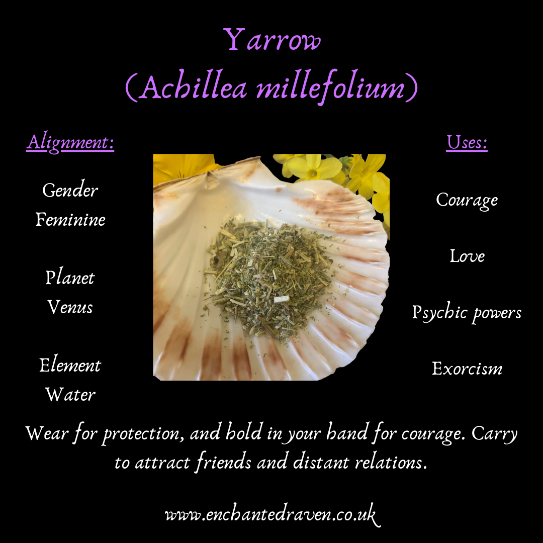 Yarrow