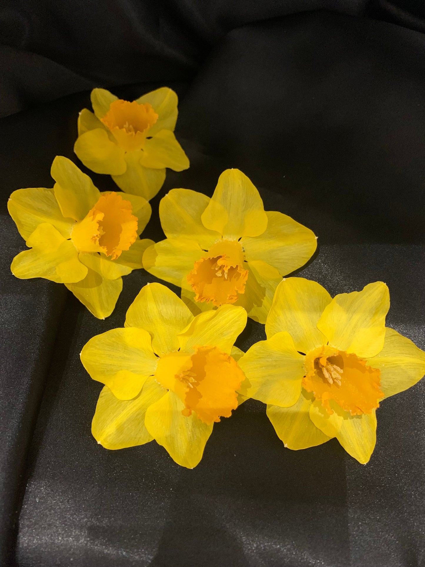 Dried Daffodils - Enchanted Ravens - -