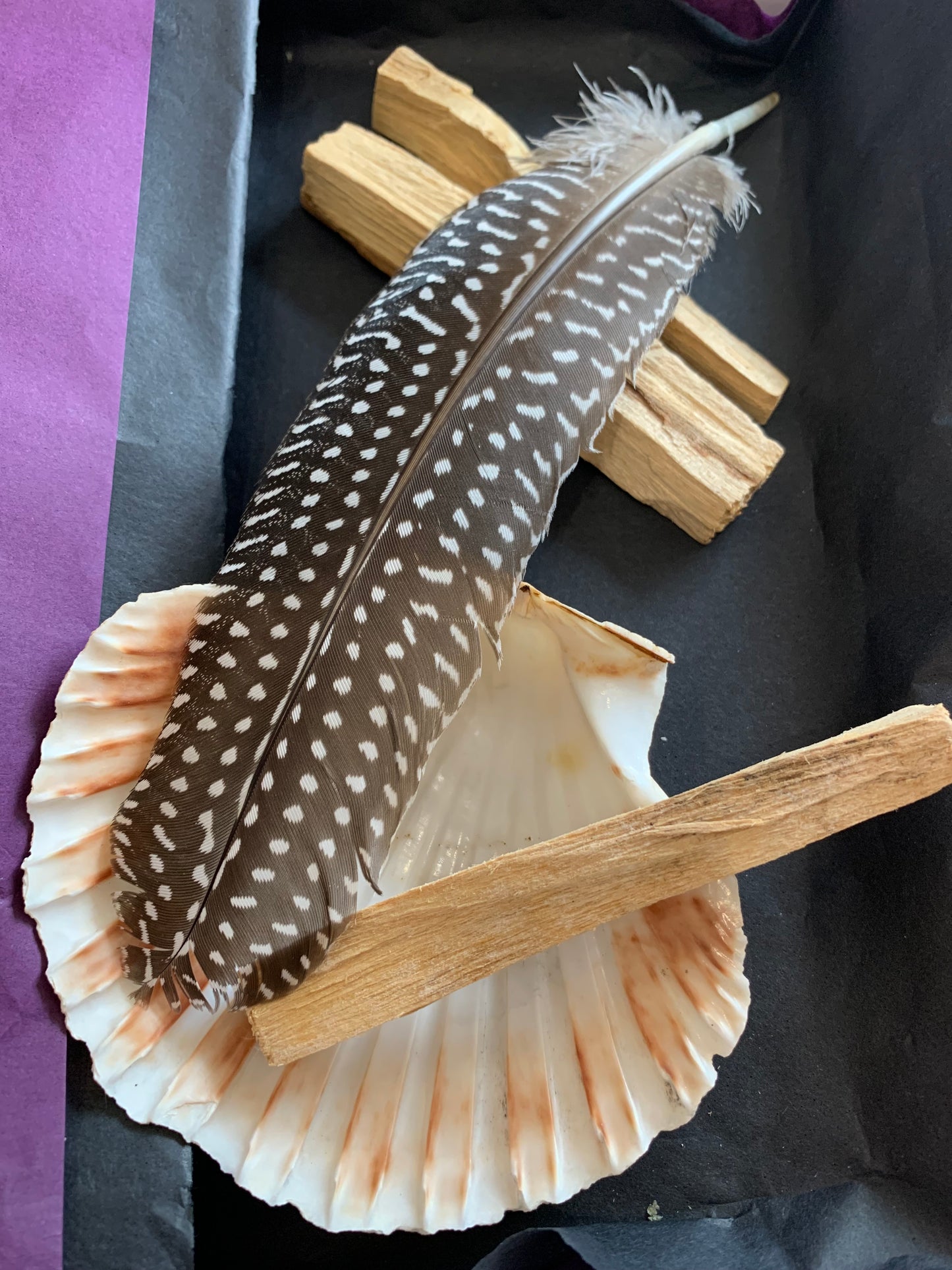 Palo Santo Smudging Gift Box
