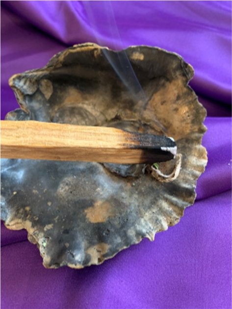 Oyster shell dish on a purple background with a stick of palo santo burning