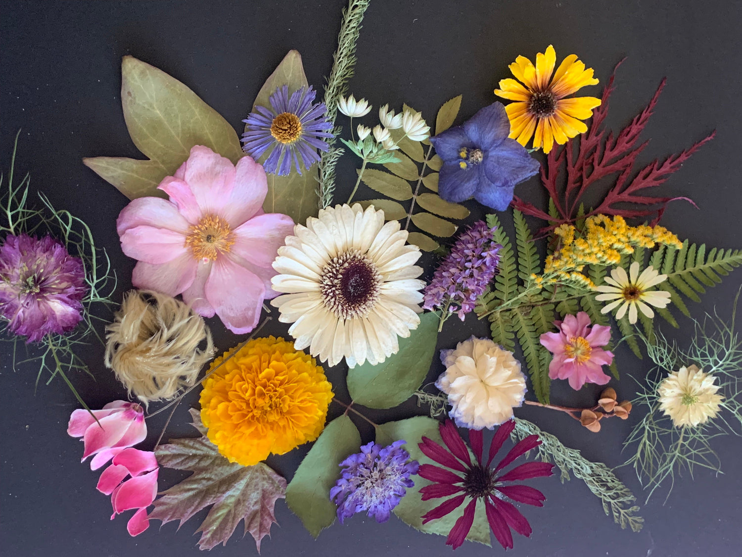 A colourful bouquet of dried flowers and leaves on a black background