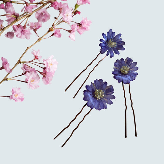 Blue Anemone Hair Pins x 3
