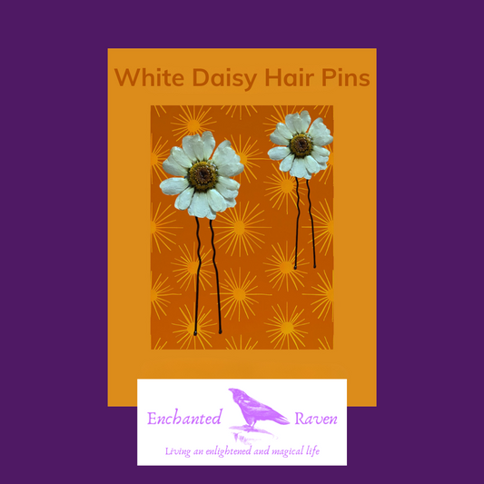 White or Yellow Daisy Hair Pins x 3