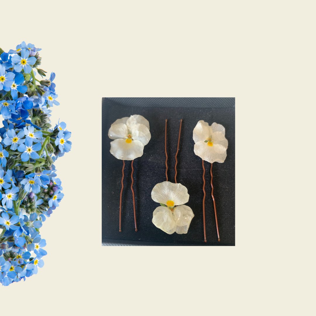 White Pansy Hair Pins x 3