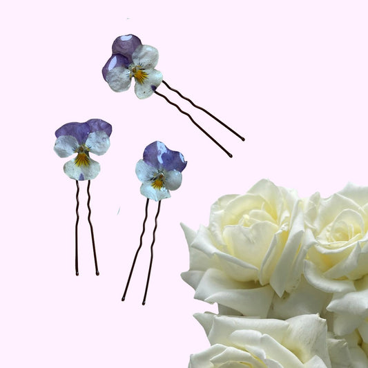 Blue & Cream Pansy Hair Pins x 3
