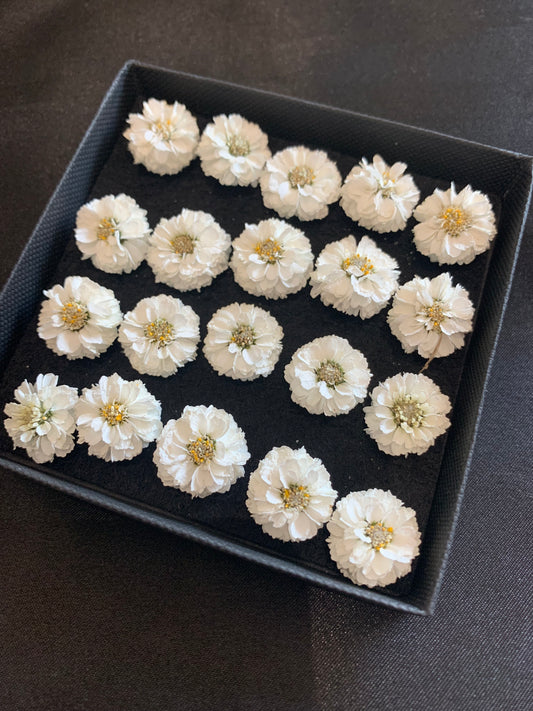 Achillea - 9 or 20 Real Dried Flowers