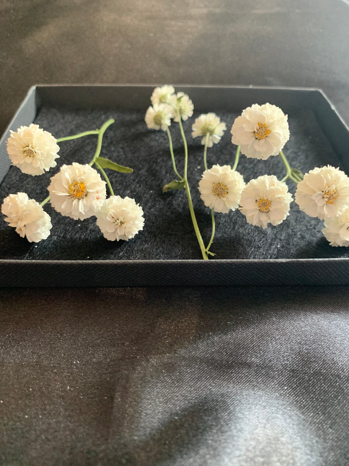 Achillea - 9 or 20 Real Dried Flowers