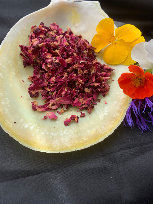 Rose Petals - Red
