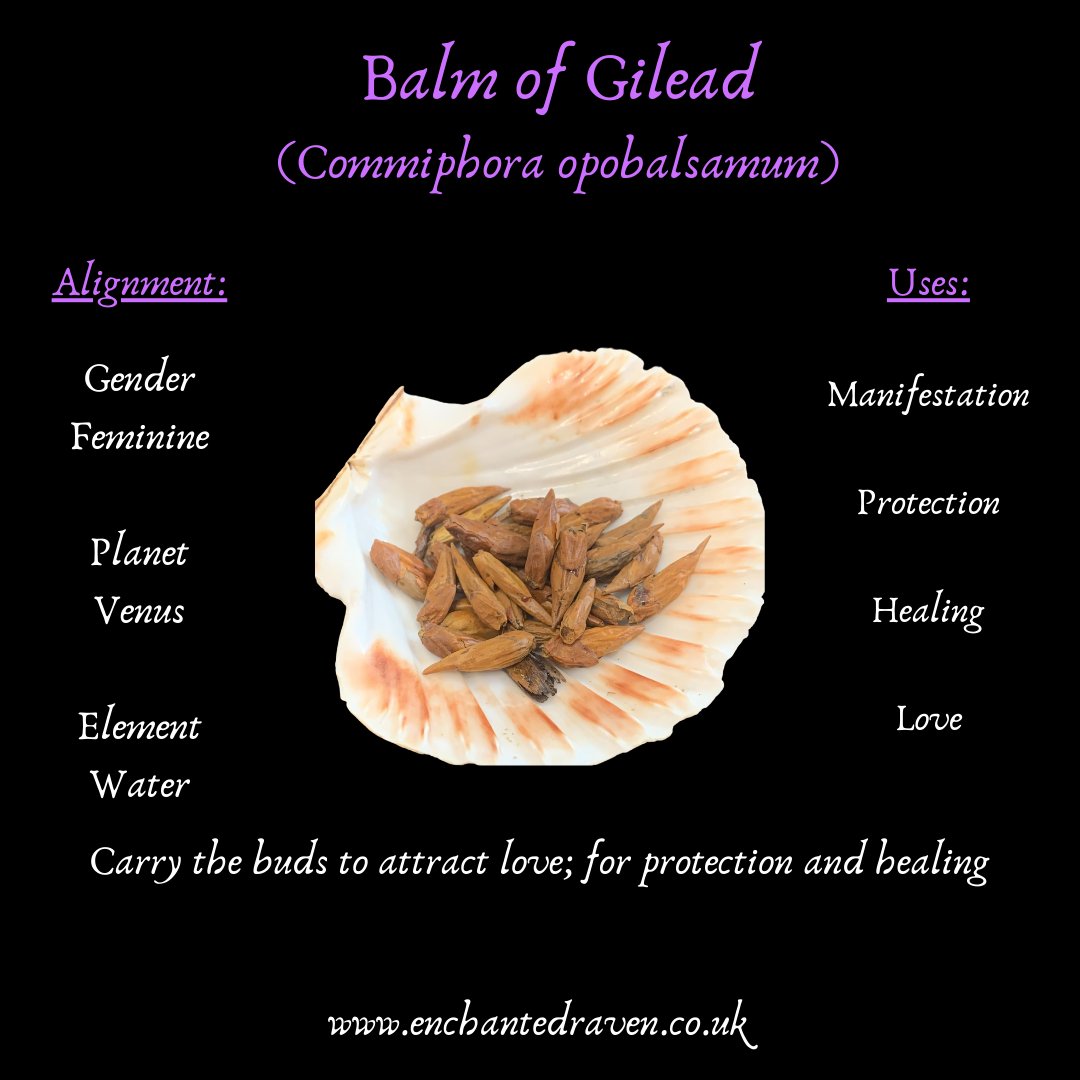 Balm of Gilead
