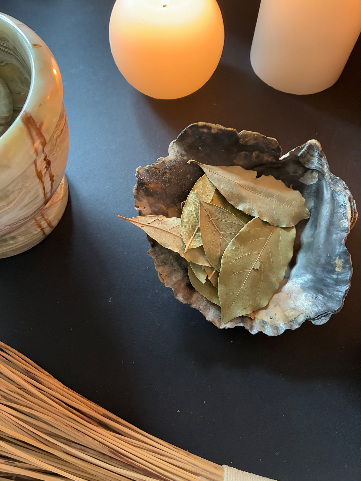 Bay Leaves – 10 Leaves | Herbs for Witchcraft & Magic