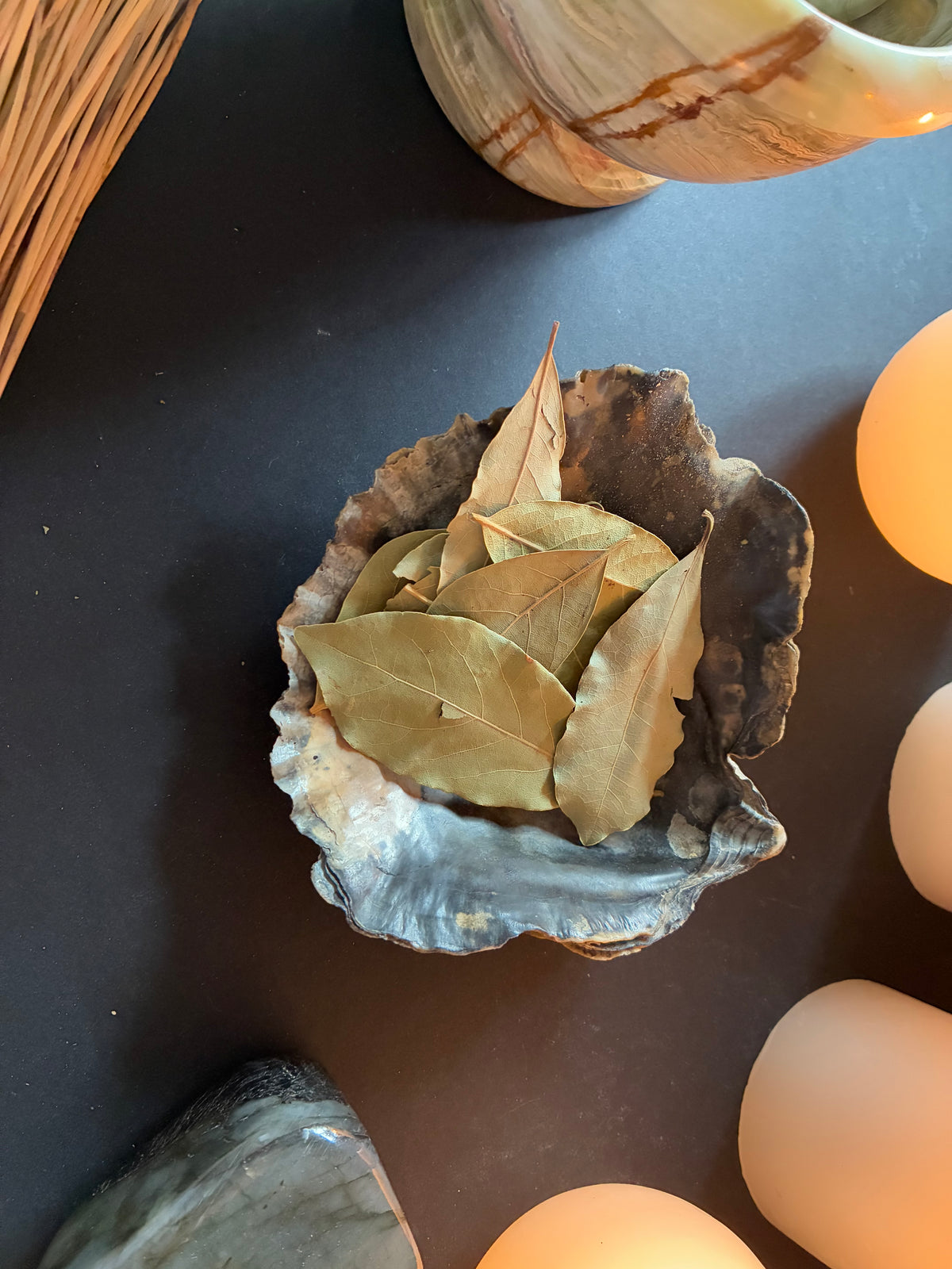 Bay Leaves – 10 Leaves | Herbs for Witchcraft & Magic
