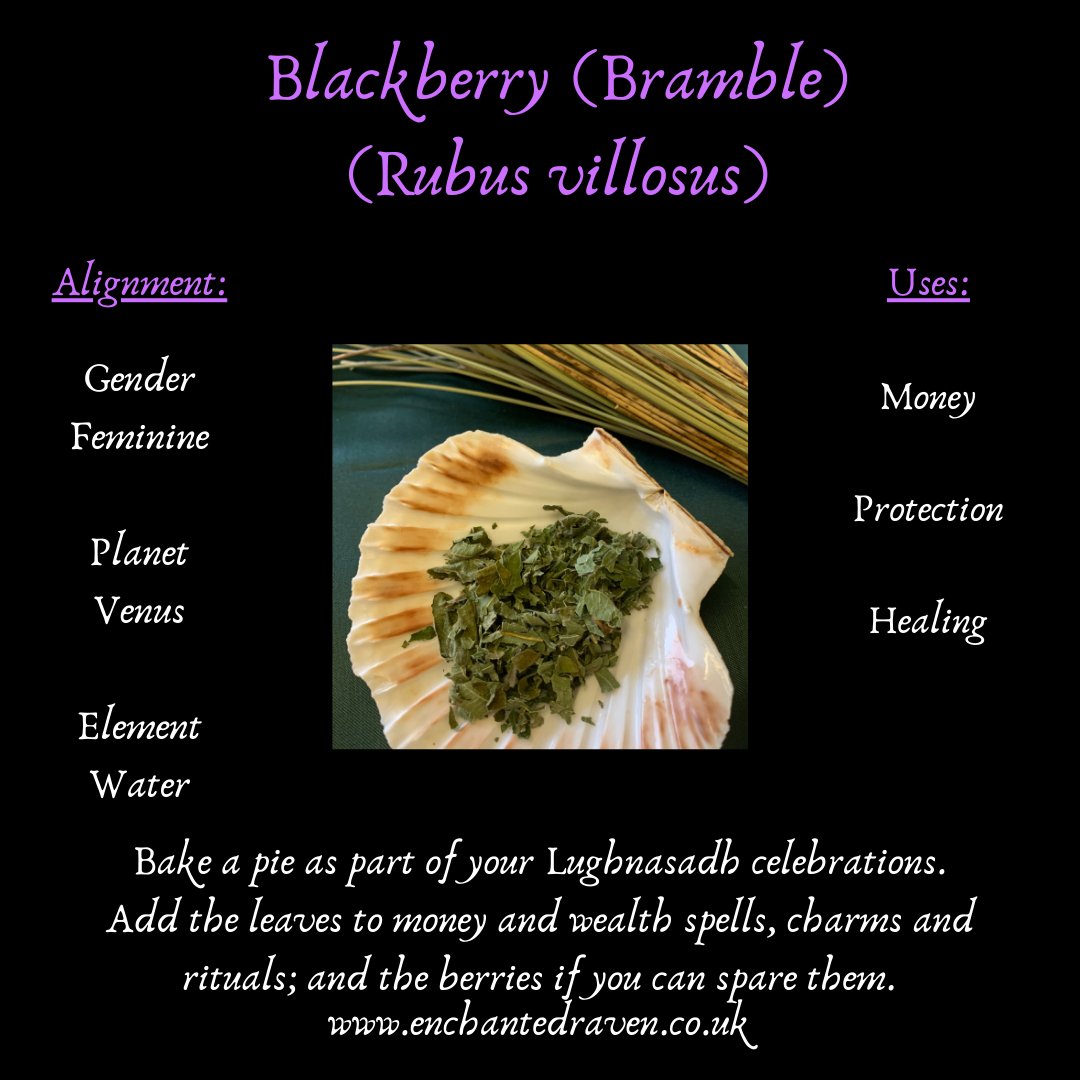 Bramble Leaves