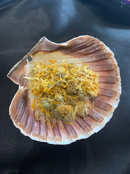 Calendula