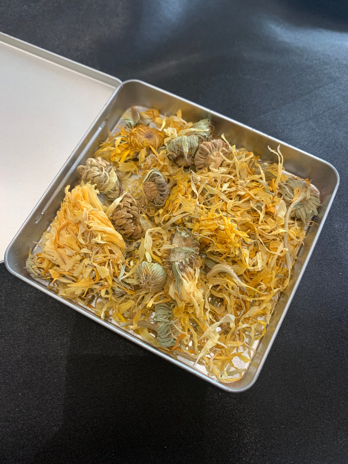 Calendula