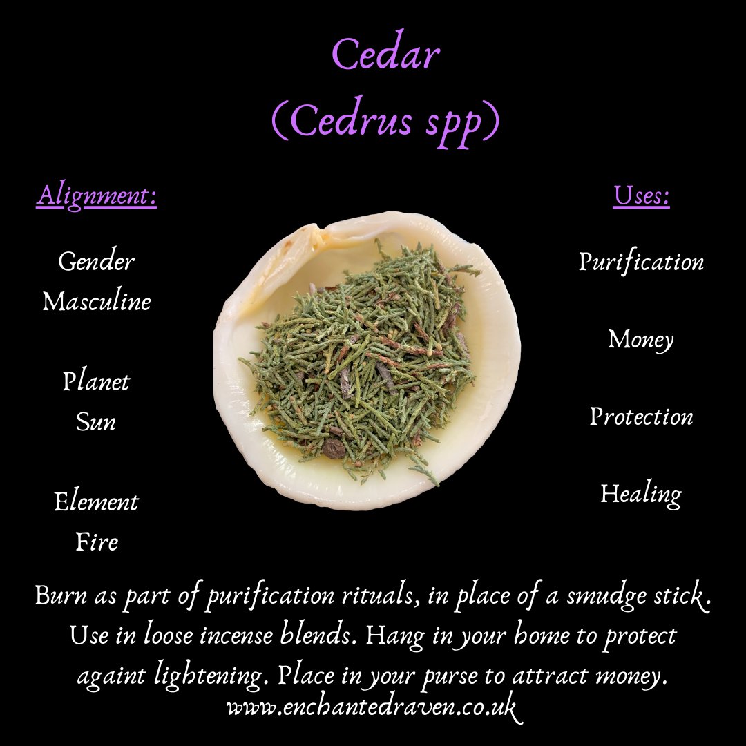 Cedar - 10g - Loose