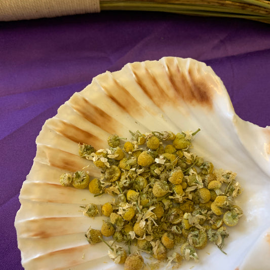 Chamomile - 10g dried Chamomile