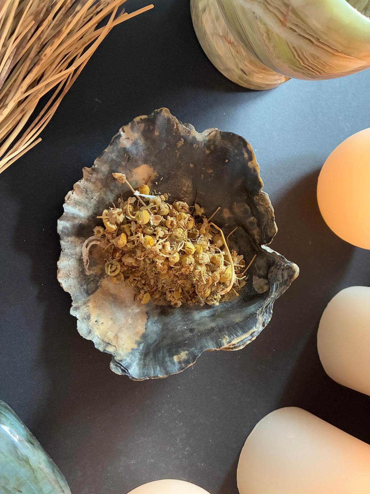 Chamomile Herb for Money, Prosperity, Love & Magical Workings