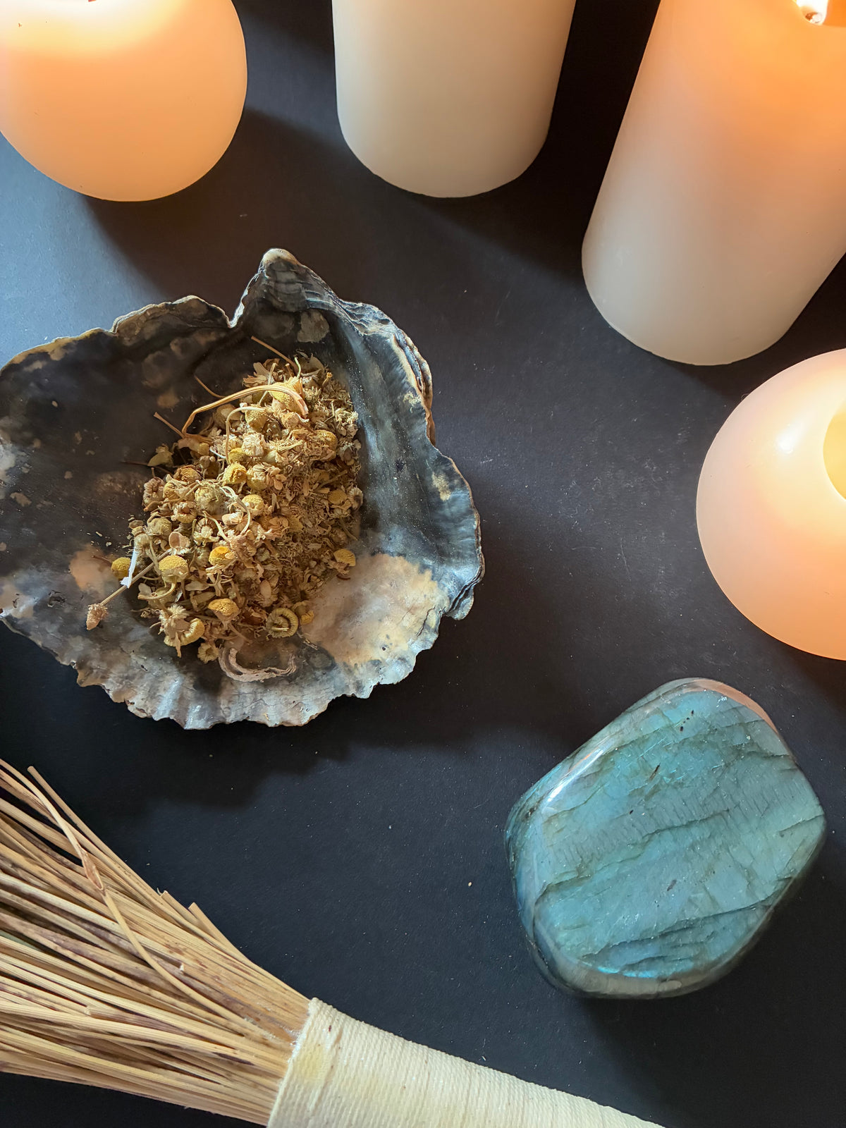 Chamomile Herb for Money, Prosperity, Love & Magical Workings