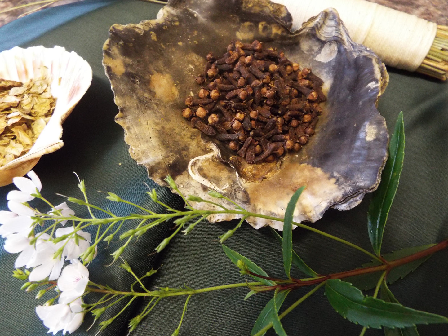 5 Herbs, Especially selected herbs for Money, Love, Protection and Healing