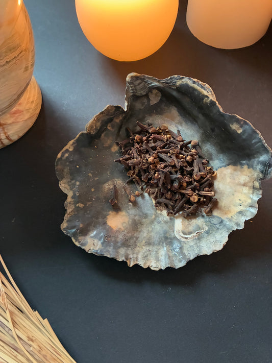 Cloves - Witchcraft Herb for Protection & Good Luck