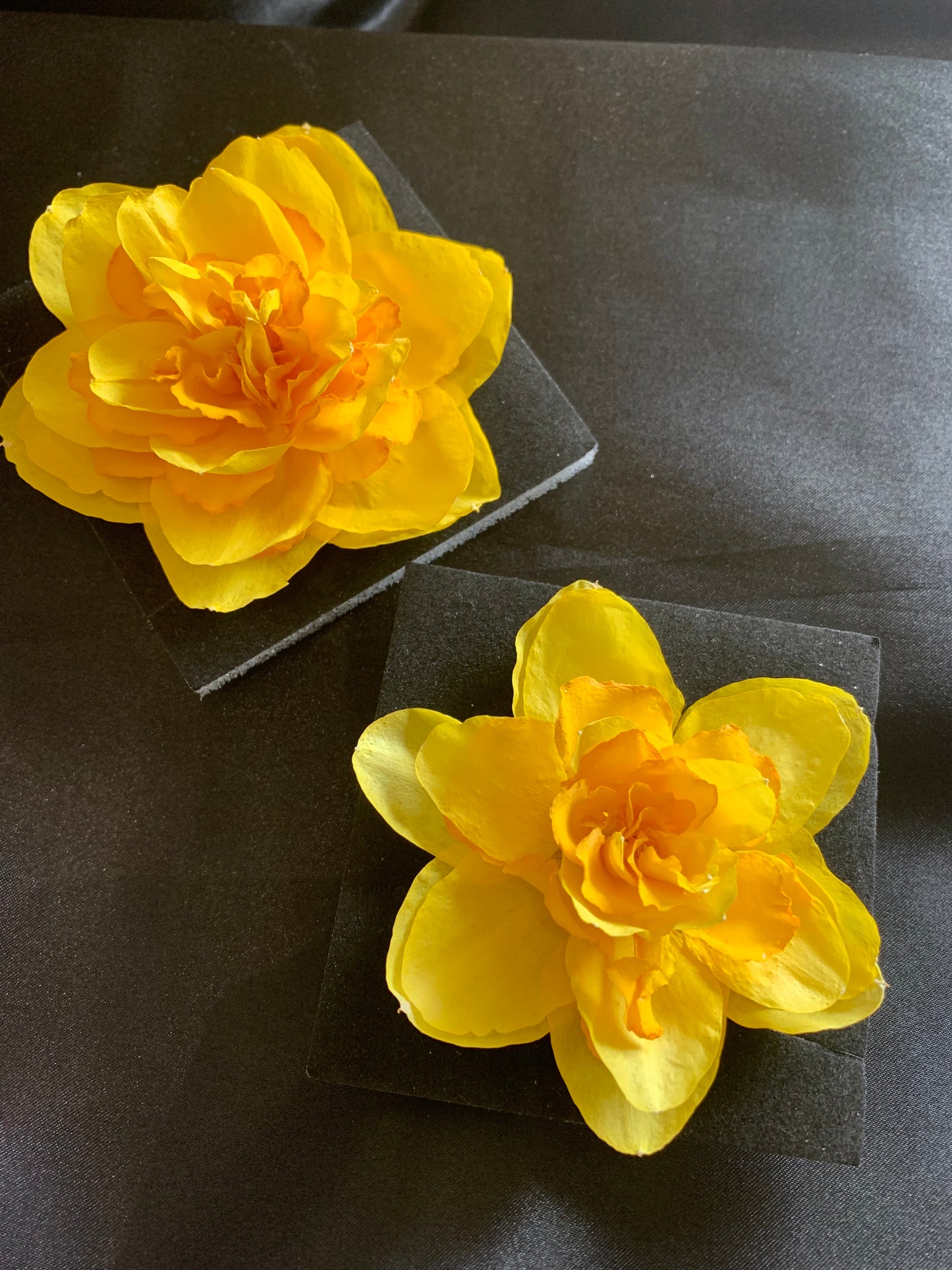 Double Daffodils - 2 Real Dried Double Daffodil Flowers