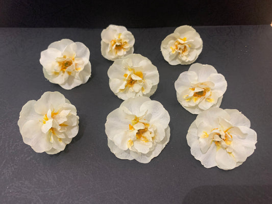 Real Dried Daffodils - Cheerfulness
