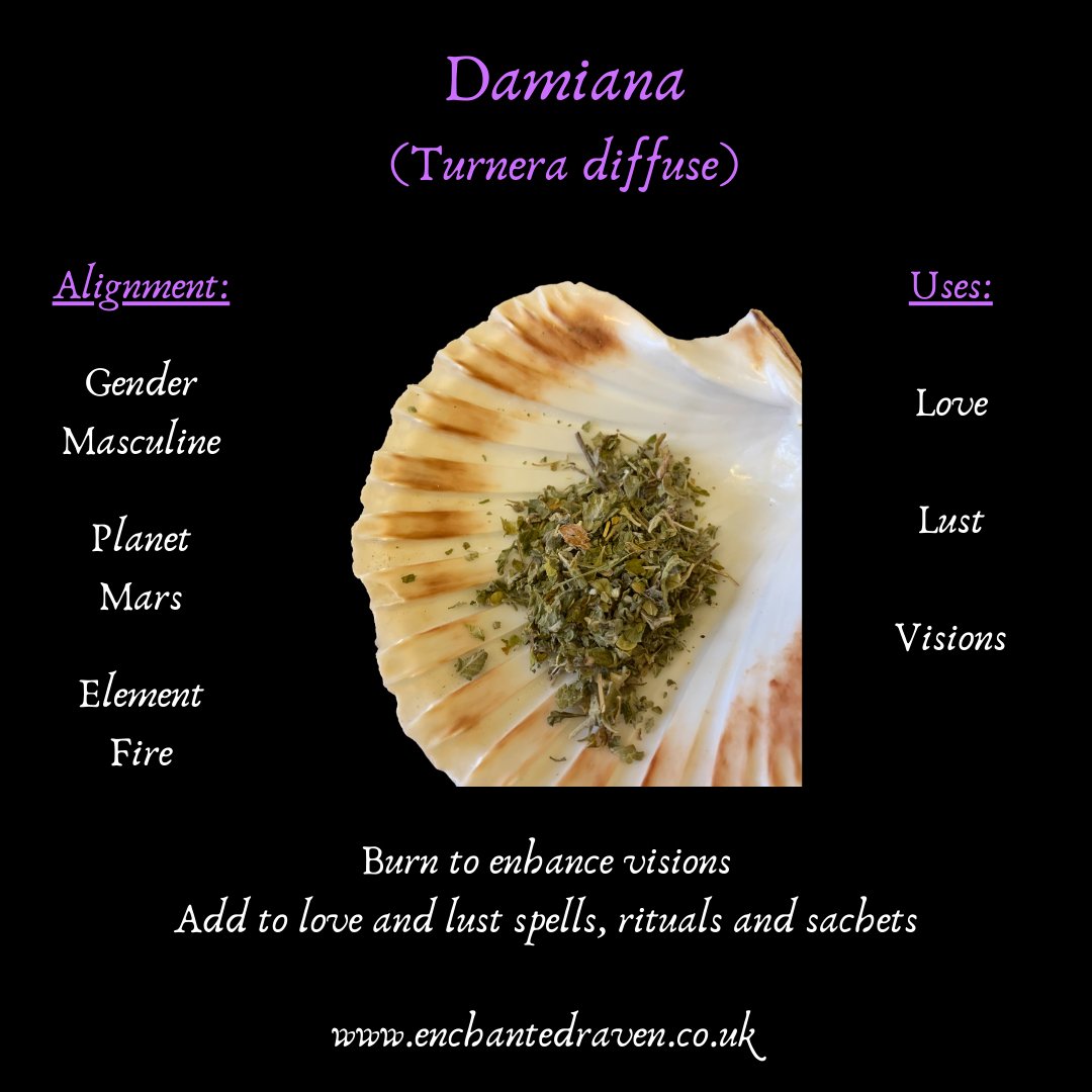 Damiana
