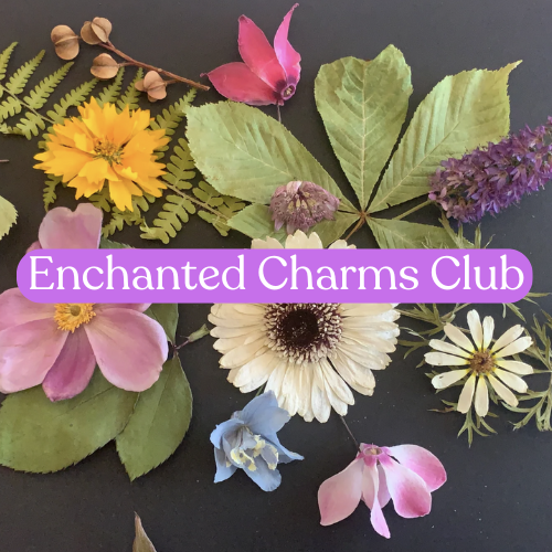 Enchanted Charms Loyalty Rewards Scheme | Enchanted Raven
