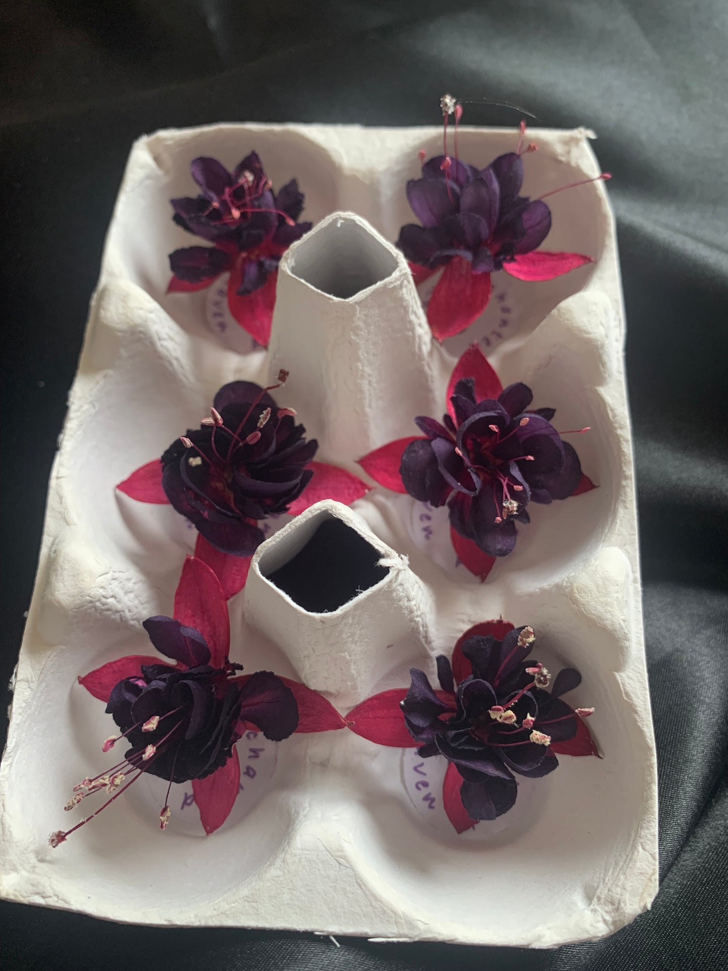 Fuchsia - 6 Real Dried Fuchsia Flowers, UK Shop, Natural Flowers, Undyed Flowers