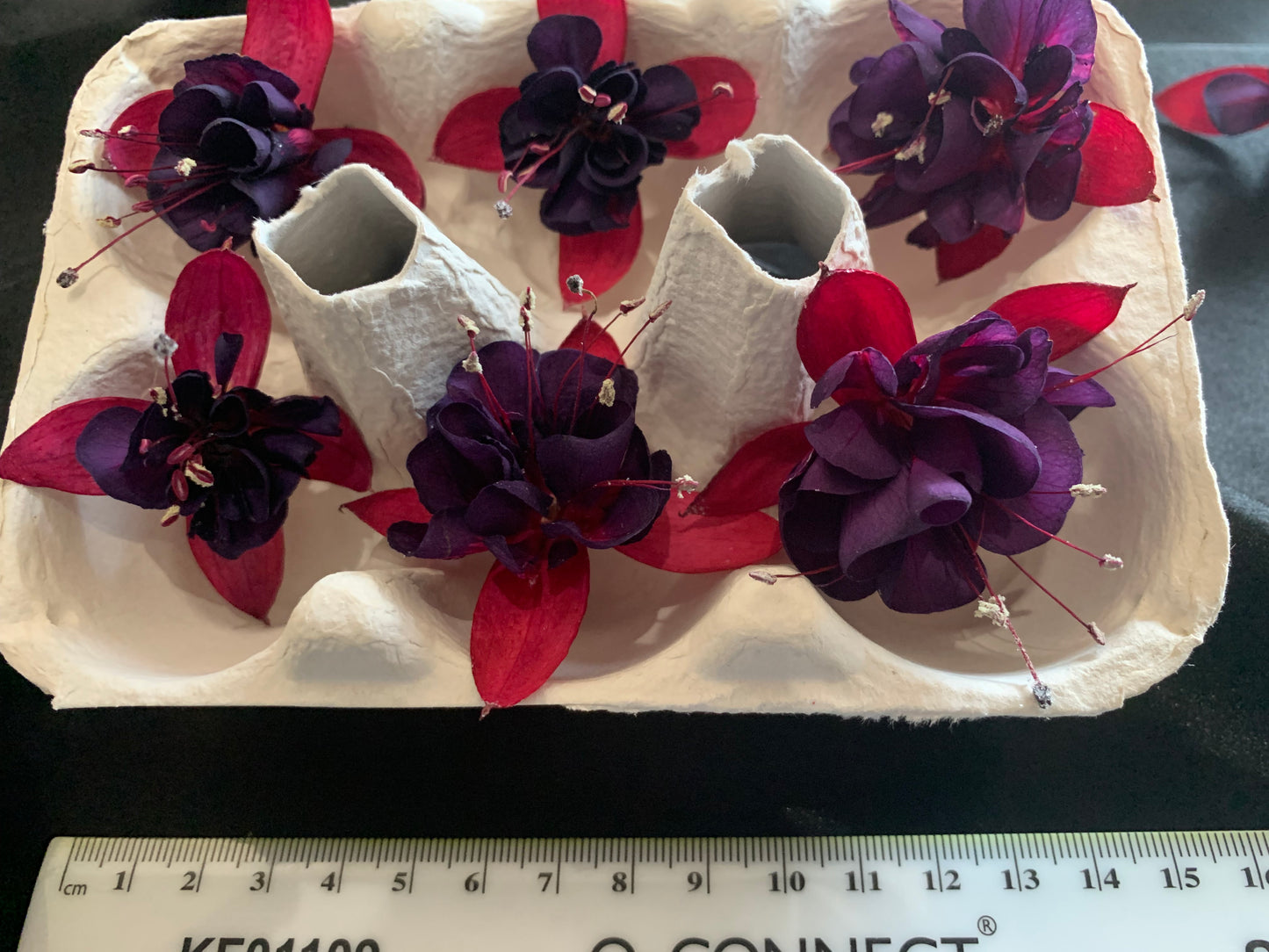 Fuchsia - 6 Real Dried Fuchsia Flowers, UK Shop, Natural Flowers, Undyed Flowers