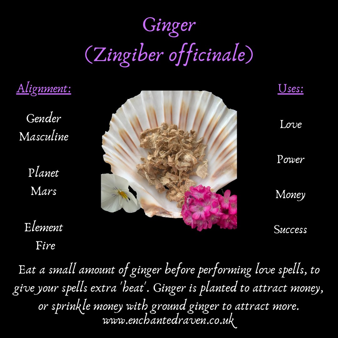 Ginger