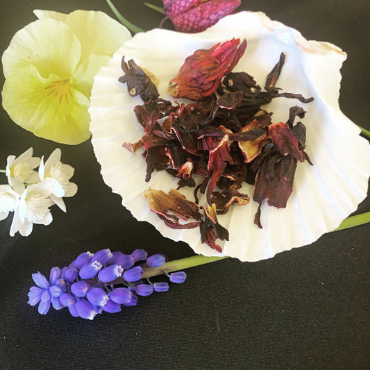 Hibiscus