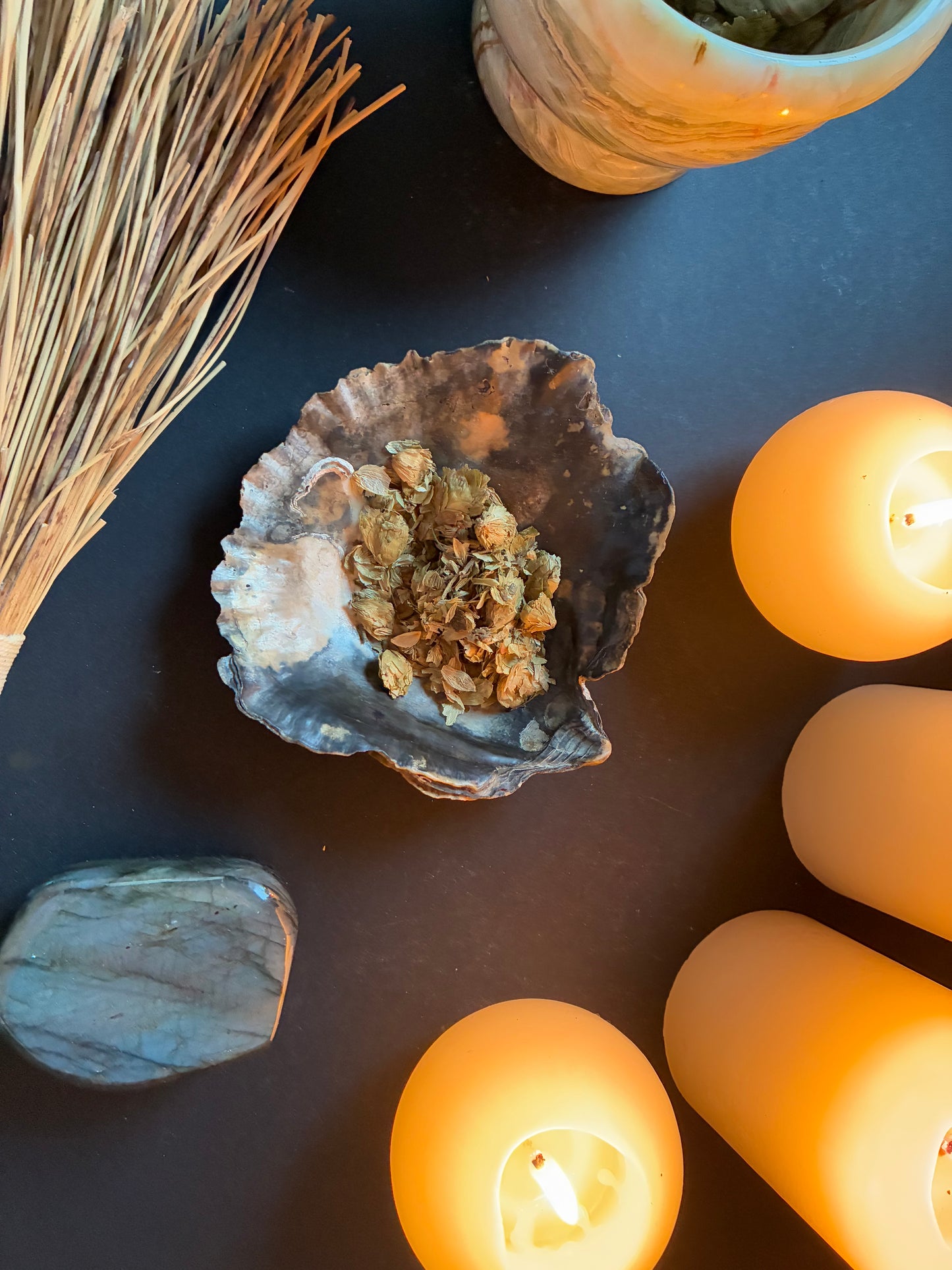 Hops - Dried Hops Flowers for Sleep, Healing & Witchcraft