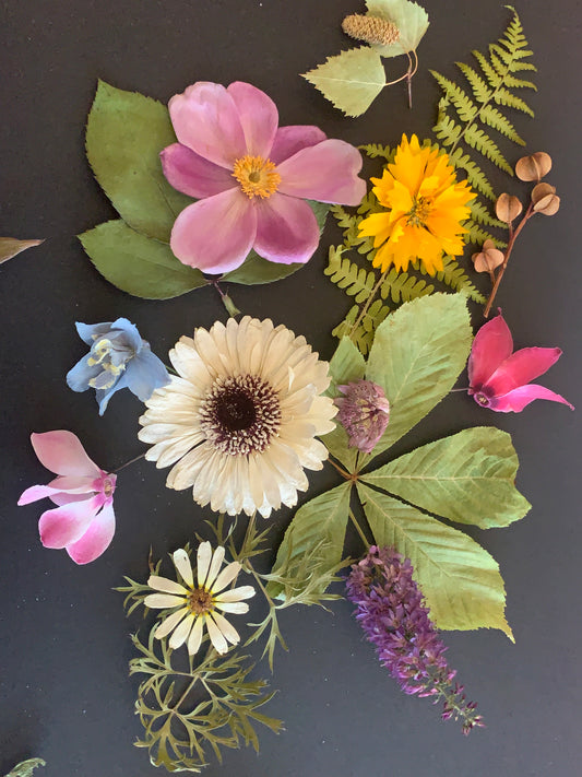 Dried Flowers and Leaves