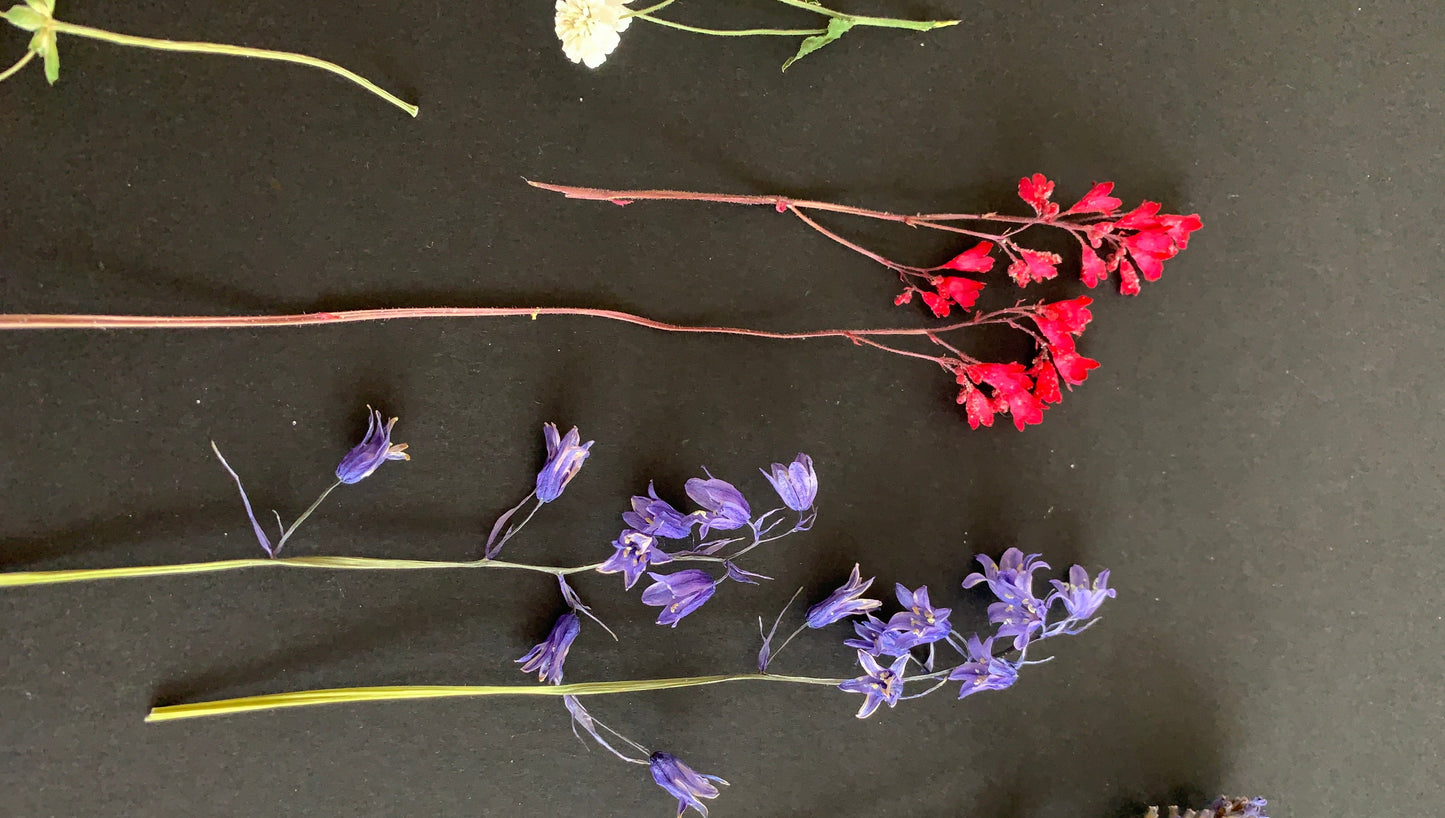 Mixed Stemmed Dried Flowers