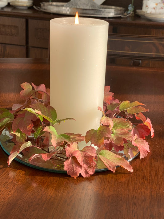 Guelder Rose Leaves - 10 Sprigs Real Dried Leaves