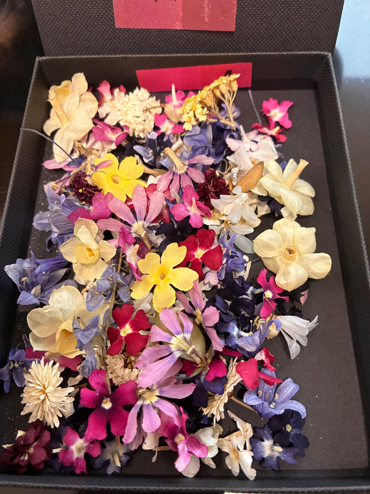 Tiny Real Dried Flowers for Resin Art, Crafts & Botanical Art