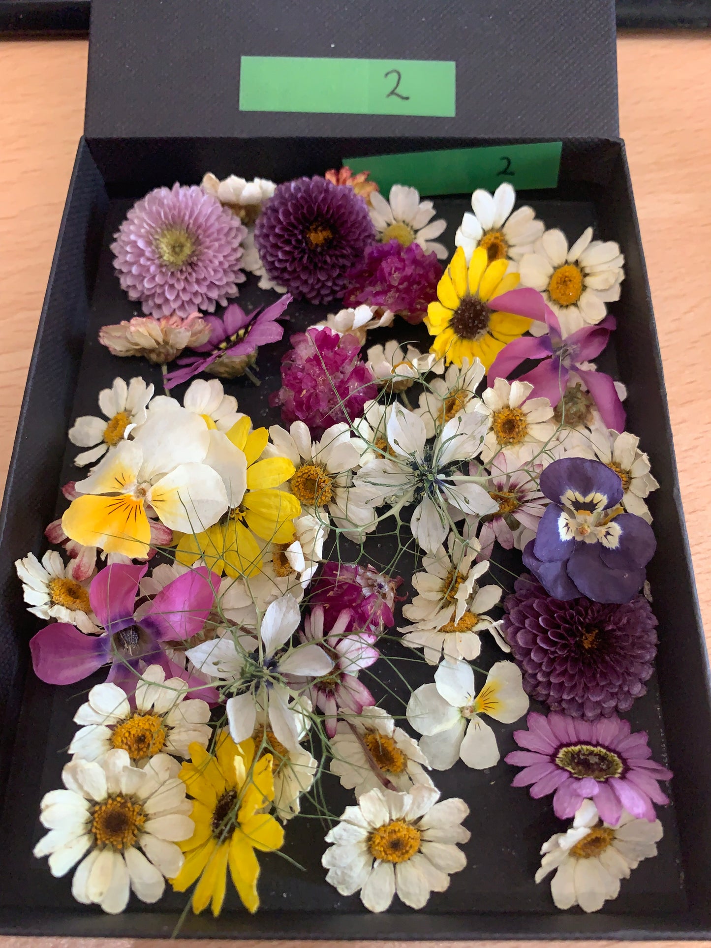 Small dried flowers - Real Dried Flowers