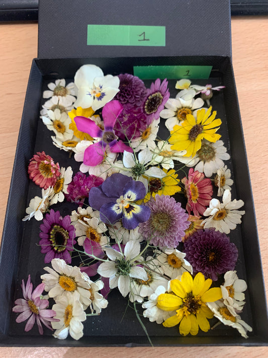 Small dried flowers - Real Dried Flowers