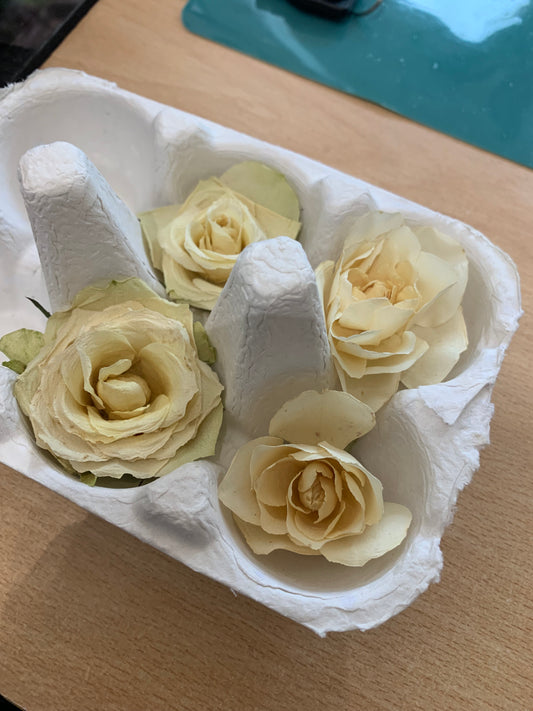 Tiny Roses - 4 White Real Dried Miniature Roses