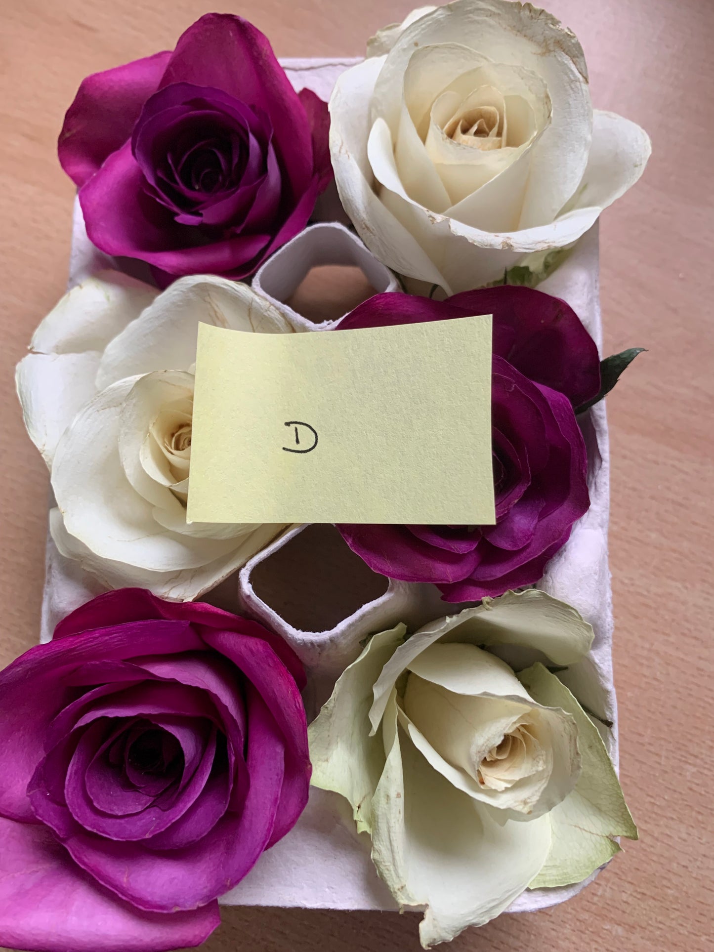 Roses - Mixed - 6 Real Dried Flowers