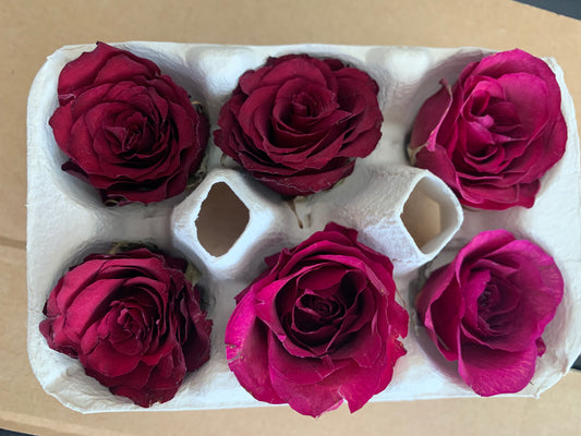 Roses - 6 Burgundy (Torch) - Real Dried Flowers