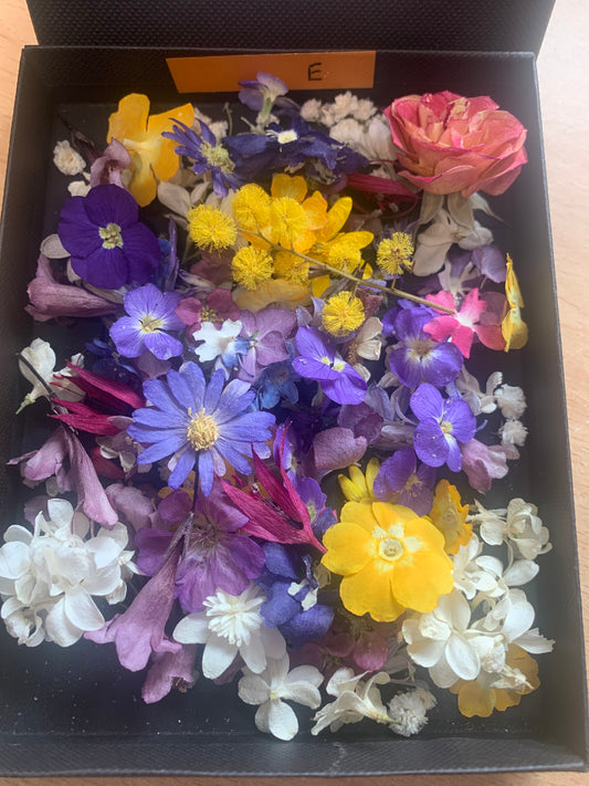 Tiny dried flowers - Real Dried Flowers